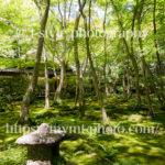 京都にある祇王寺の新緑が美しすぎる！！