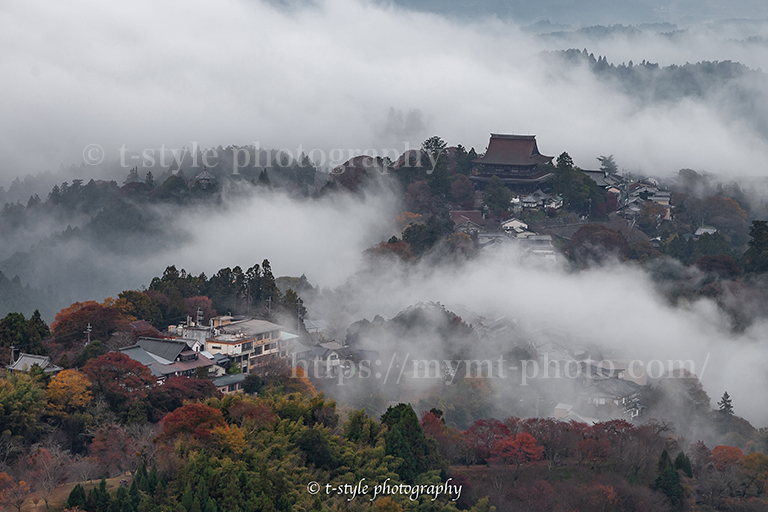 吉野山の紅葉と雲海