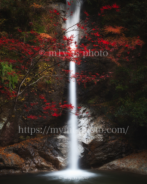 投石の滝の紅葉